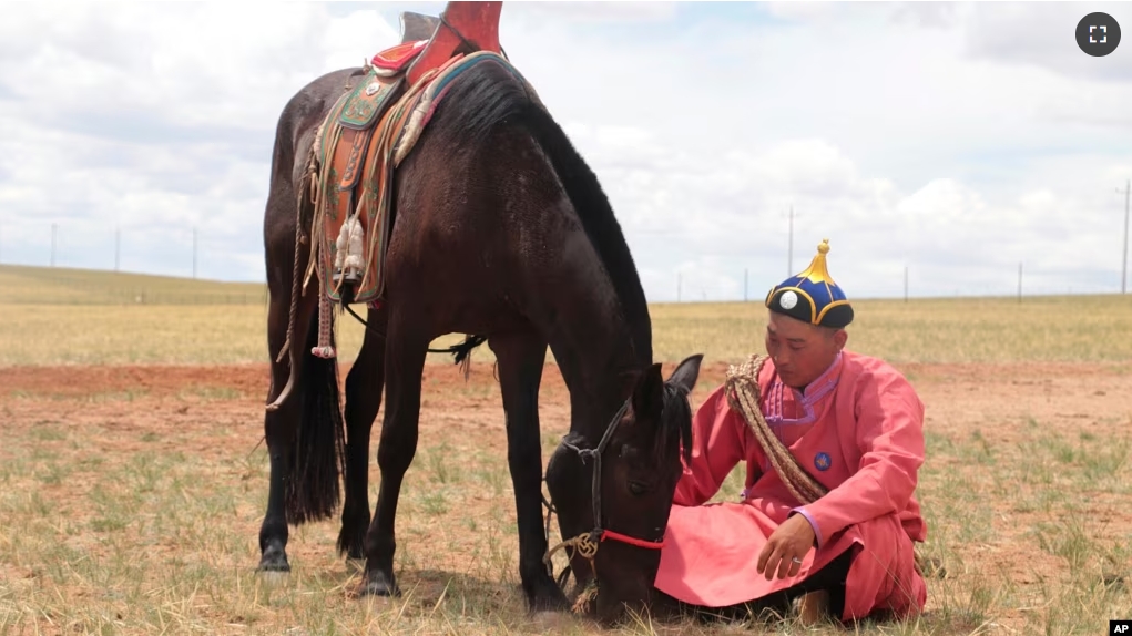 FILE - A herder sits with his horse on an open plain in Inner Mongolia, China, July 2019. (Ludovic Orlando/Centre for Anthropobiology and Genomics of Toulouse, CAGT via AP)