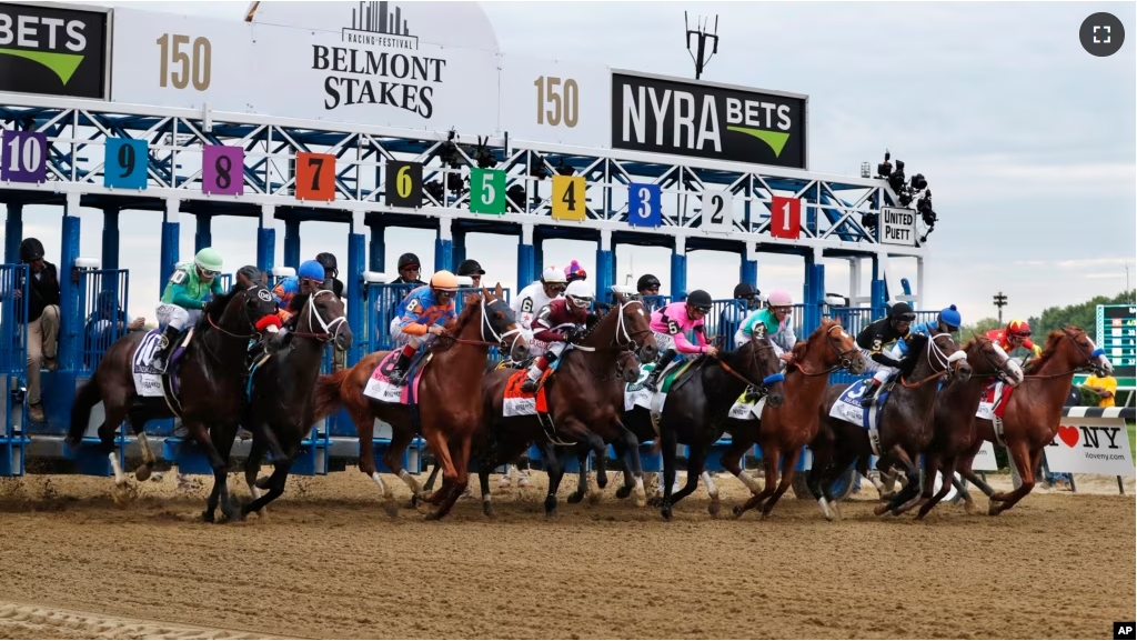 FILE - In this June 9, 2018, file photo, horses break from the starting gate at the beginning of the 150th running of the Belmont Stakes horse race at Belmont Park in Elmont, New York. (AP Photo/Julie Jacobson)