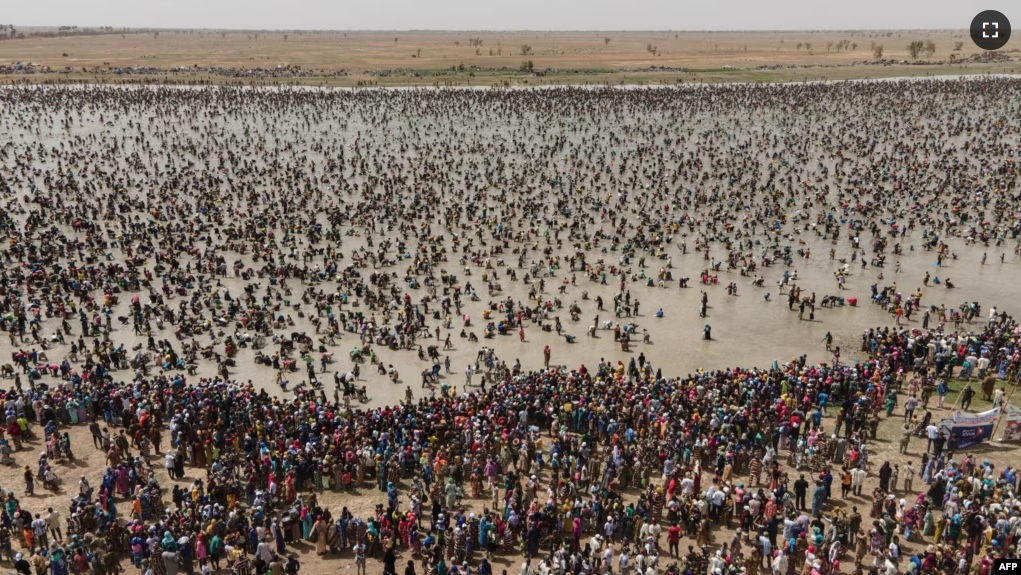 This aerial view shows people fishing during the Sanke mon collective fishing rite in San, Sego Region on June 6, 2024. (Photo by OUSMANE MAKAVELI / AFP)