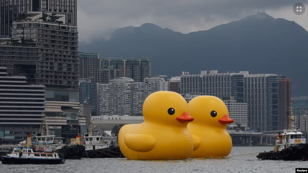 FILE - An art installation dubbed "Double Ducks" by Dutch artist Florentijn Hofman, is seen at Victoria Harbour, in Hong Kong, China June 9, 2023. (REUTERS/Tyrone Siu)