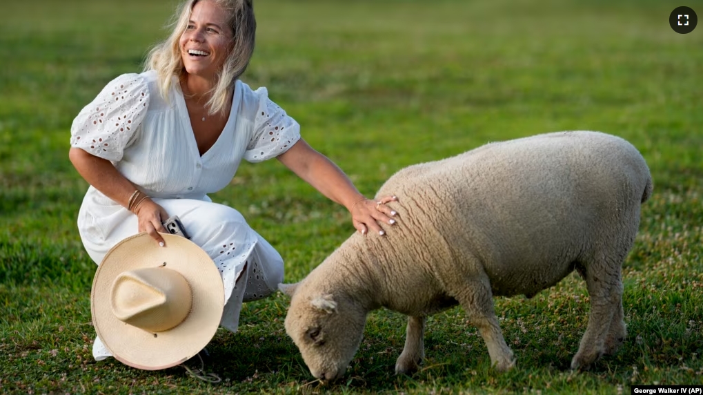 Jamie Campion pets her one of her Southdown Babydoll sheep as it grazes in the backyard Wednesday morning, July 3, 2024. (AP Photo/George Walker IV)