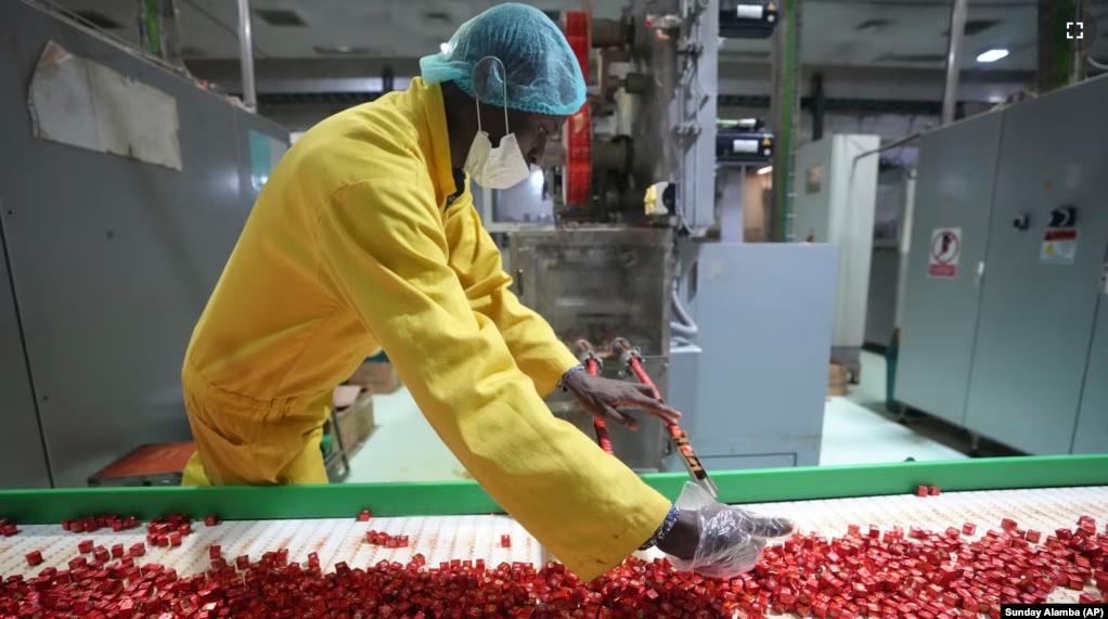 A worker checks bouillon cubes ahead of packaging at the Sweet Nutrition factory in Ota, Nigeria, Thursday, Sept. 12, 2024. (AP Photo/Sunday Alamba)