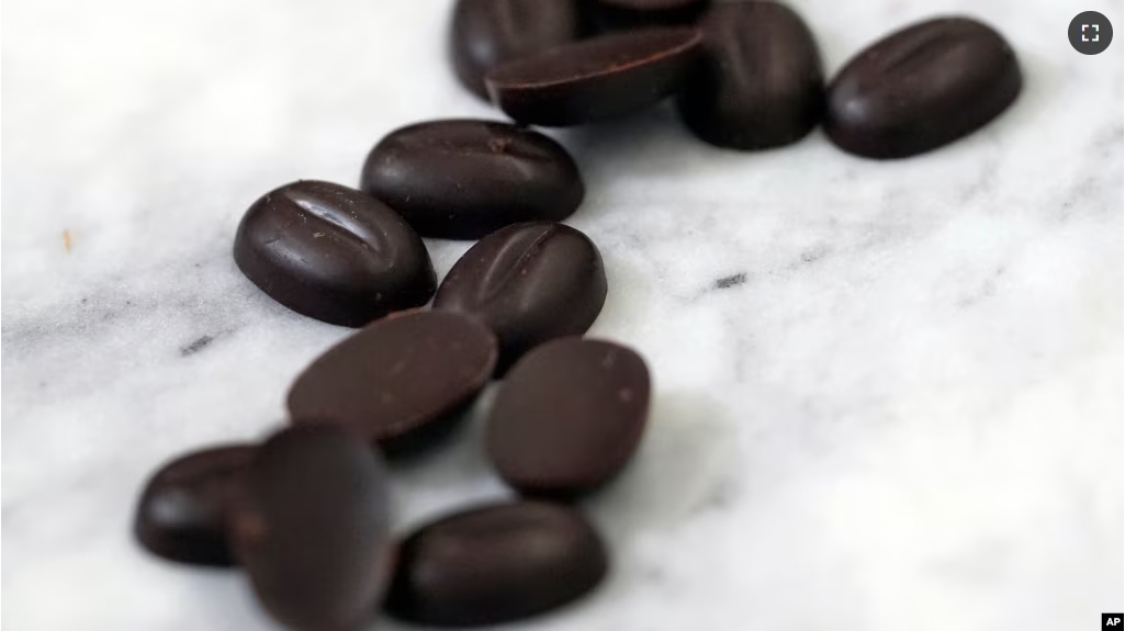 Chocolate callets are displayed at the California Cultured office in West Sacramento, Calif., Wednesday, Aug. 28, 2024. (AP Photo/Jeff Chiu)