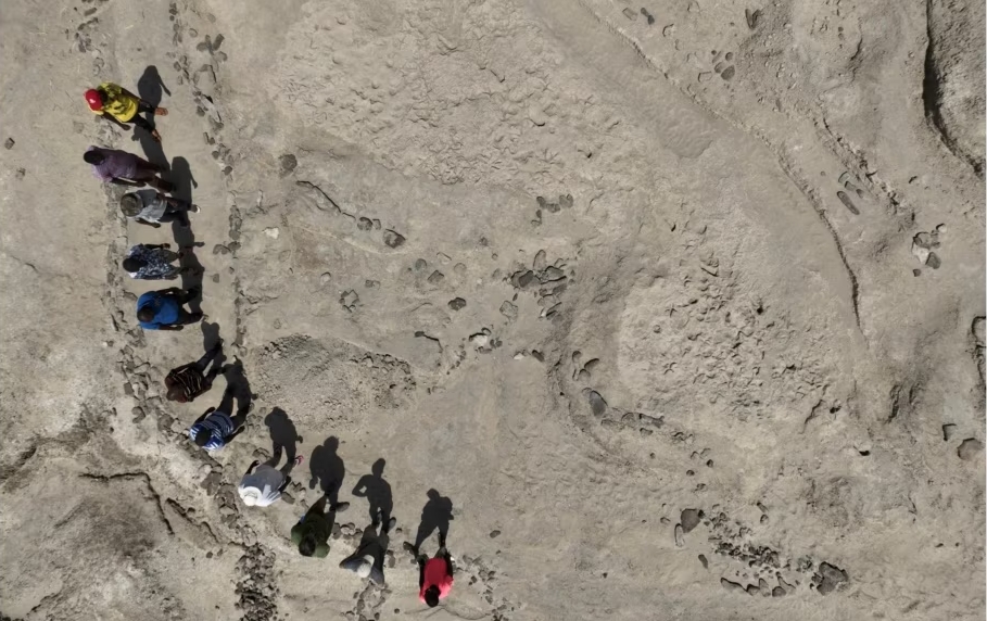 An aerial view shows a research team standing alongside the fossil footprint trackway at the excavation site on the eastern side of Lake Turkana in northern Kenya, 2022. (Louise Leakey via AP)