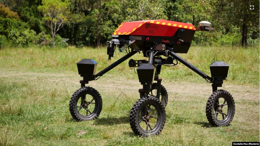 University of Sydney's autonomous robot 'SwagBot' moves around a field in Allynbrook, Australia, November 22, 2024. (REUTERS/Cordelia Hsu)