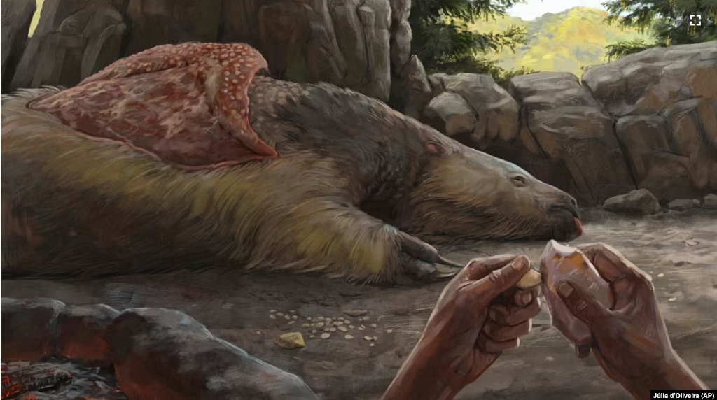 This illustration provided by researchers depicts a person carving an osteoderm from a giant sloth in Brazil about 25,000 to 27,000 years ago. (Júlia d'Oliveira via AP)