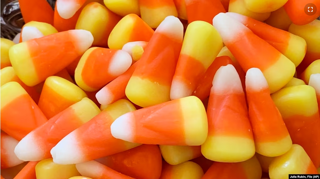 FILE - This image shows a pile of candy corn in Westchester County, N.Y., Oct. 23, 2023.