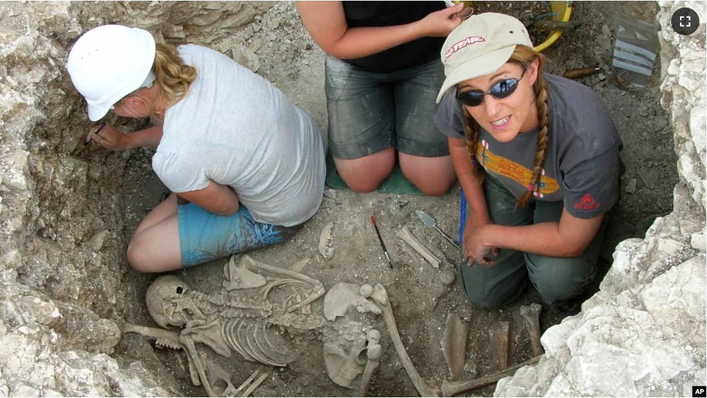 This photo provided by Bournemouth University in January 2025 shows burials being investigated at an Iron Age Celtic cemetery as part of the Durotriges tribe project dig in Dorset, southwest England. (Bournemouth University via AP)